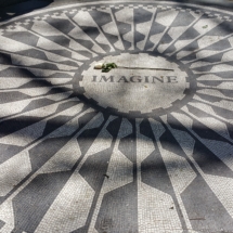 20150425_141644 20150425_141644