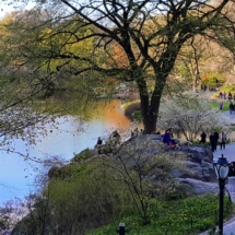 20150425_182606 20150425_182606