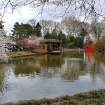20150426_173324 20150426_173324
