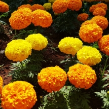 20190914_105622 20190914_105622