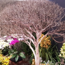 20190914_115123 20190914_115123