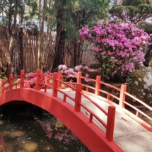 20190914_115723 20190914_115723