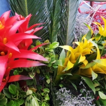 20190914_115927 20190914_115927