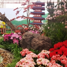 20190914_121007 20190914_121007