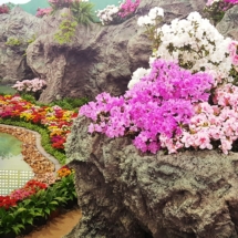 20190914_121430 20190914_121430