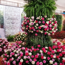 20190914_121457 20190914_121457