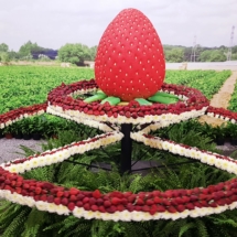 20190914_121527 20190914_121527